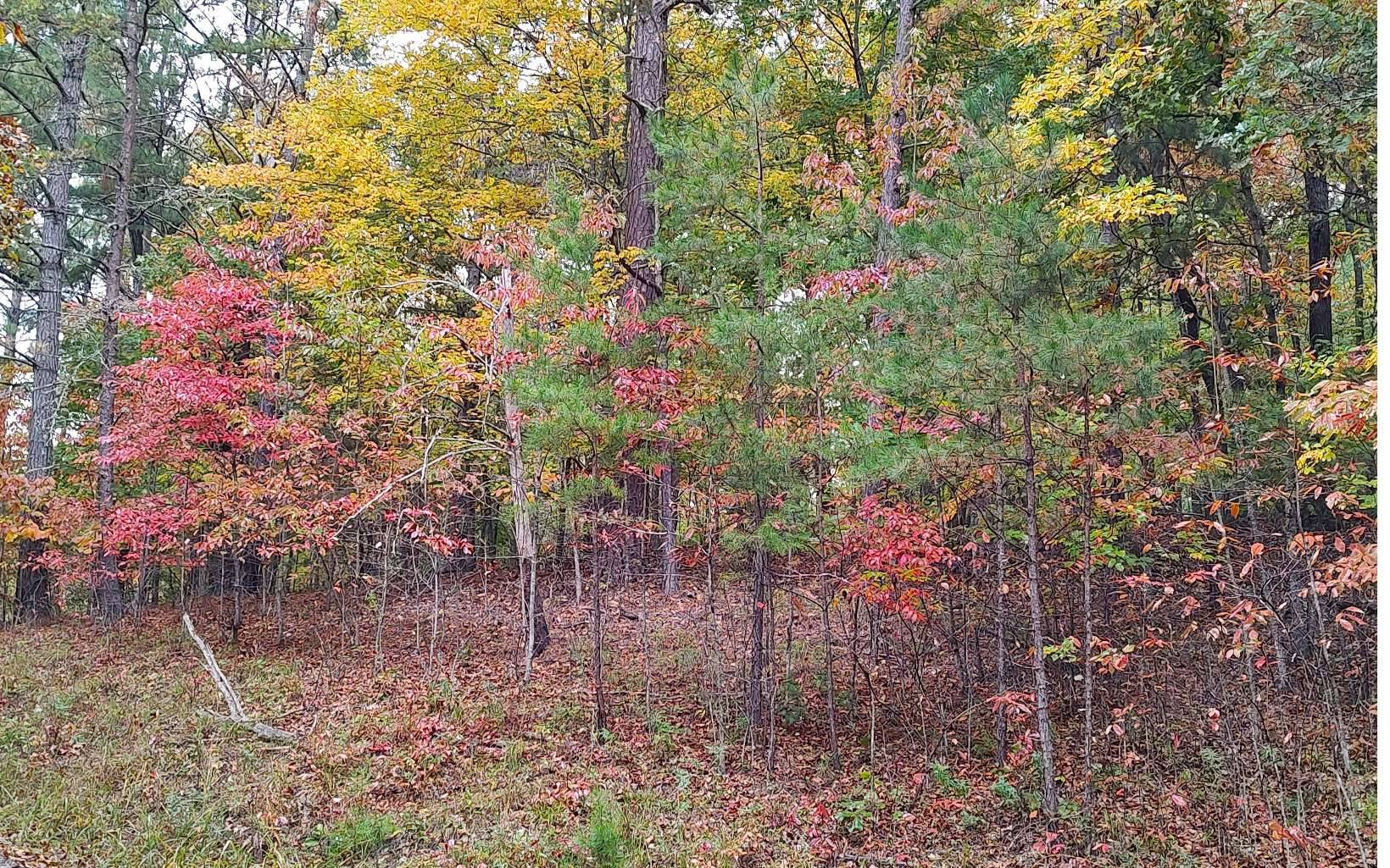 Mineral Bluff, GA 30559,LT 35 Wolf Creek Estates