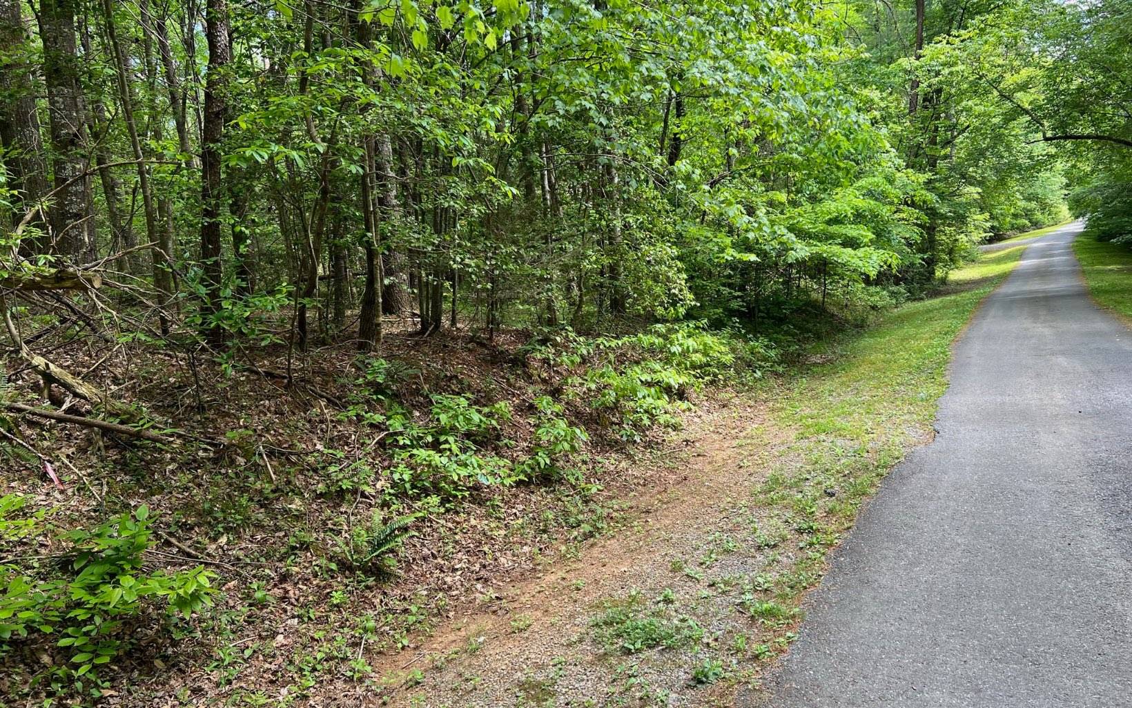 Ellijay, GA 30540,LT 3 Upper Pond Road