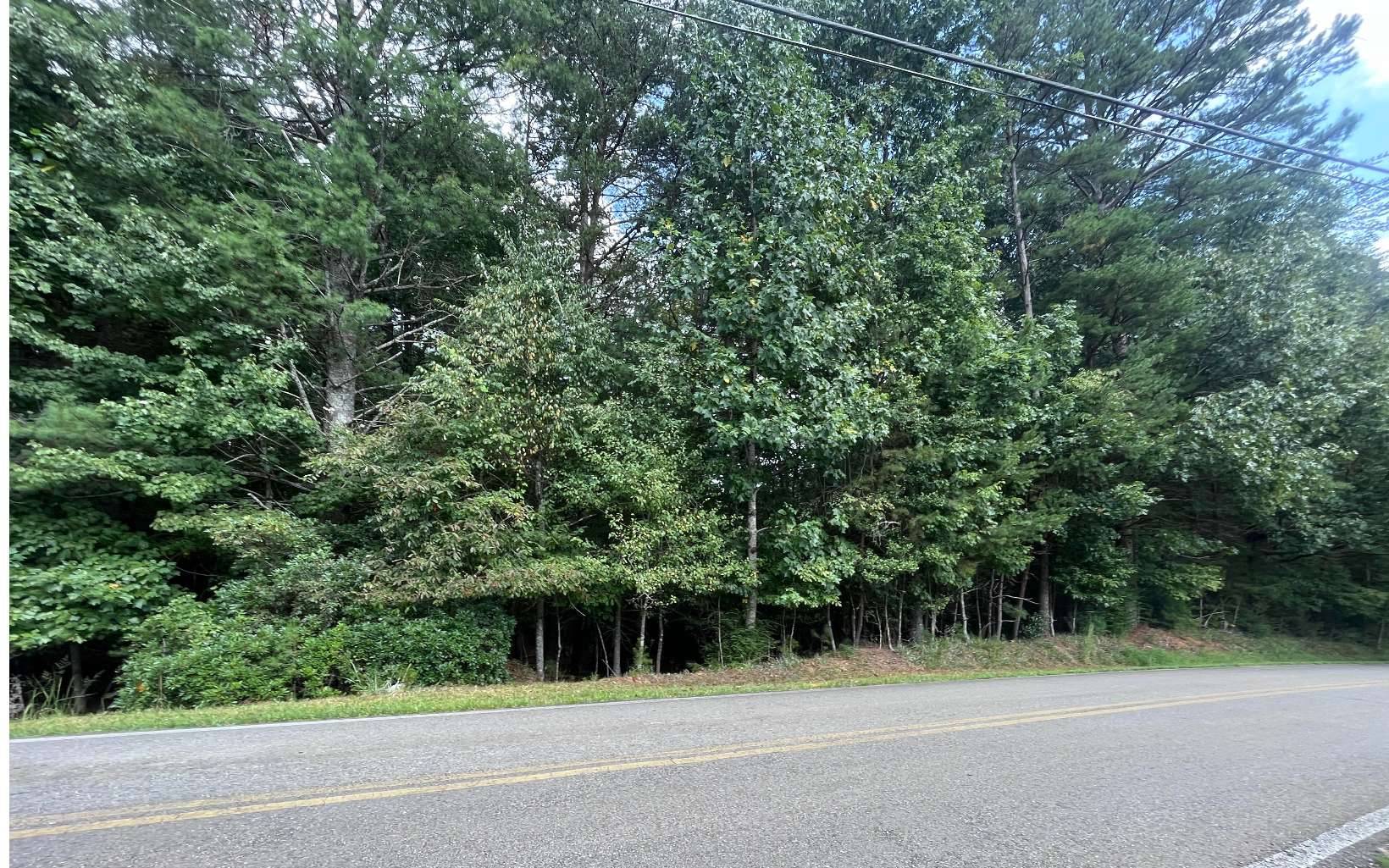 Ellijay, GA 30540,LT 88 Shenandoah Drive