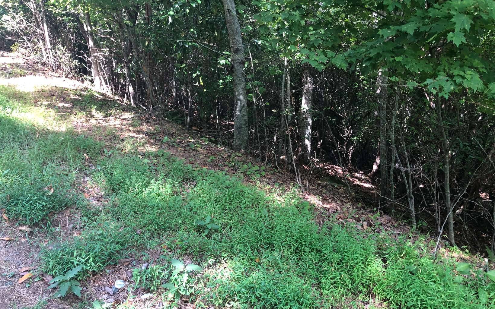 Hiawassee, GA 30546,LOT15 Settlers Ridge