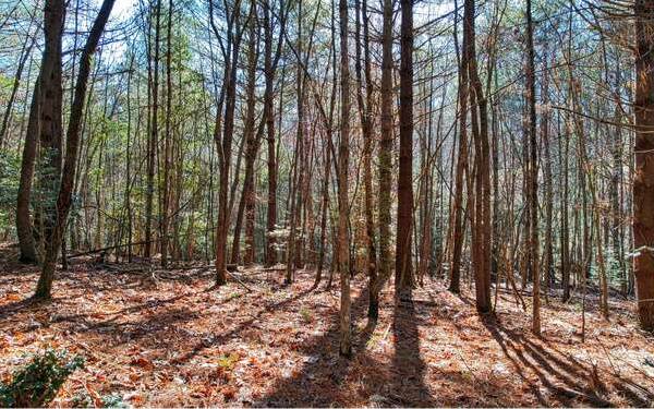 Blairsville, GA 30512,LOT78 Highland Park