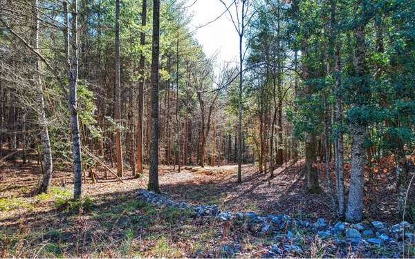 Blairsville, GA 30512,LOT78 Highland Park