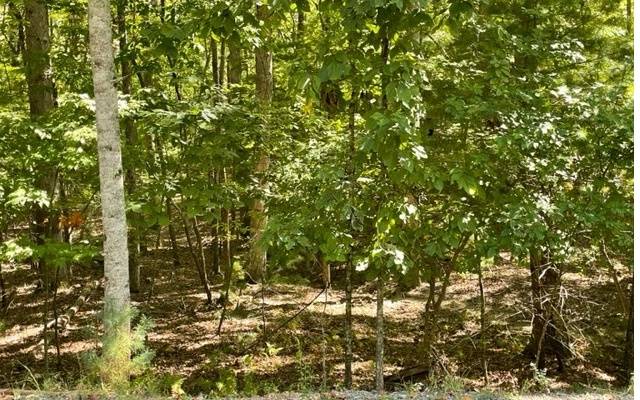 Blairsville, GA 30512,8 AC Payne Way