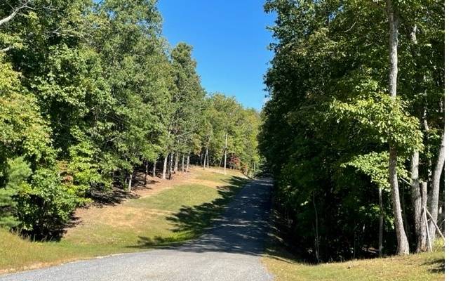 Blairsville, GA 30512,8 AC Payne Way