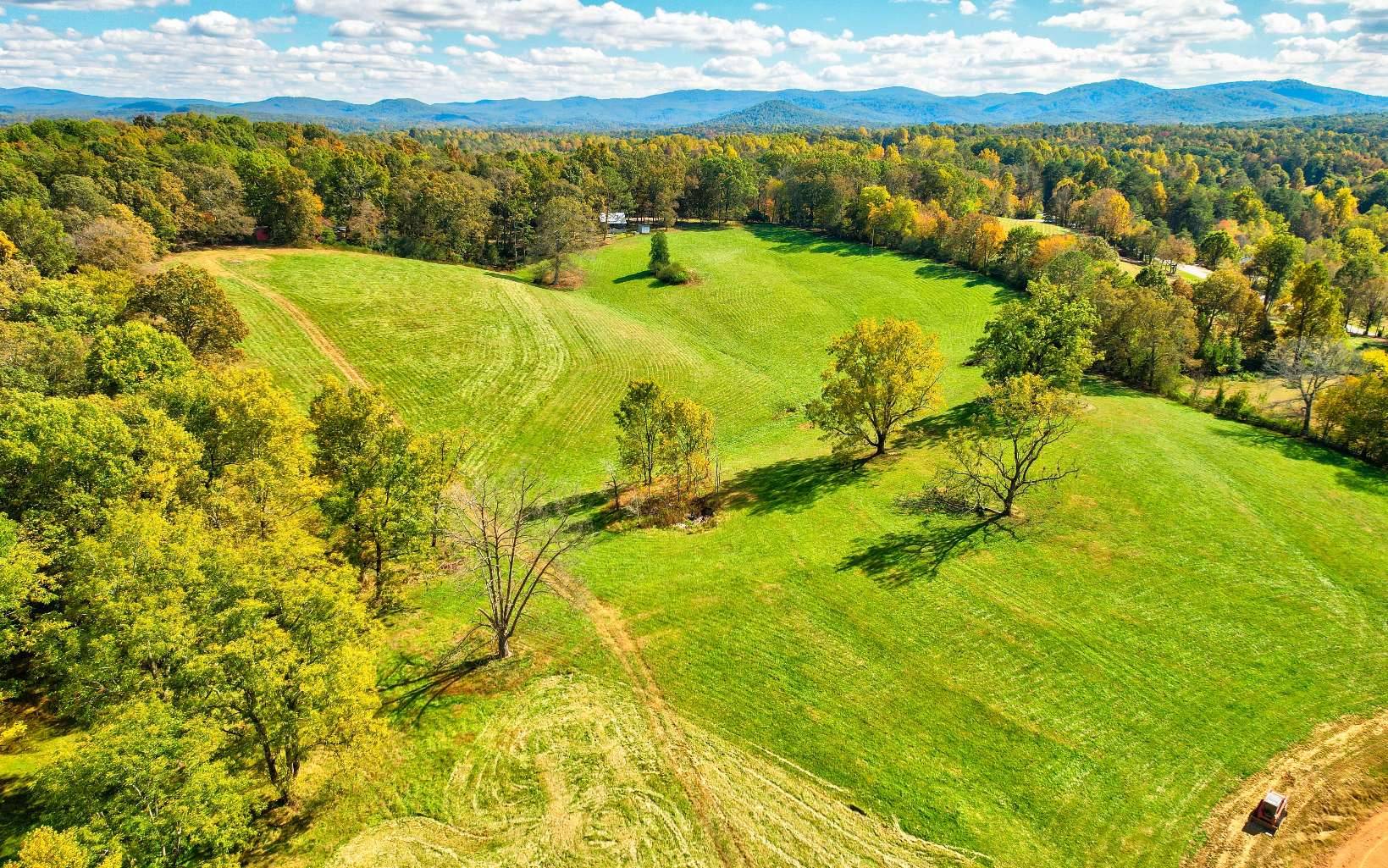 Ellijay, GA 30536,LOT 1 Clear Creek Preserve Way