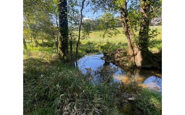 Ellijay, GA 30536,LOT 2 Clear Creek Preserve Way