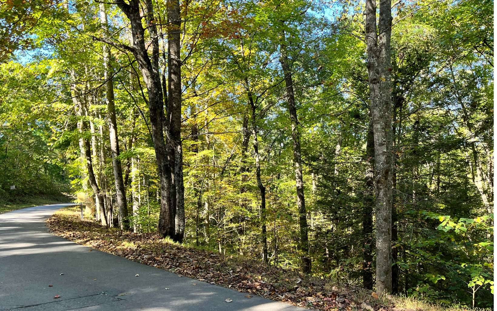 Murphy, NC 28906,00 Big Rock Trail