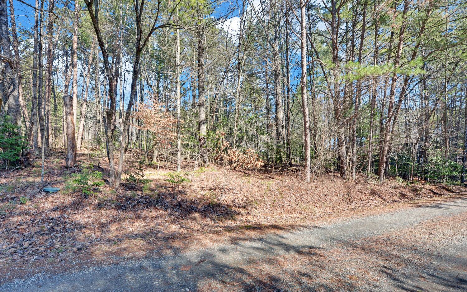 Suches, GA 30572,Eagles Nest Circle