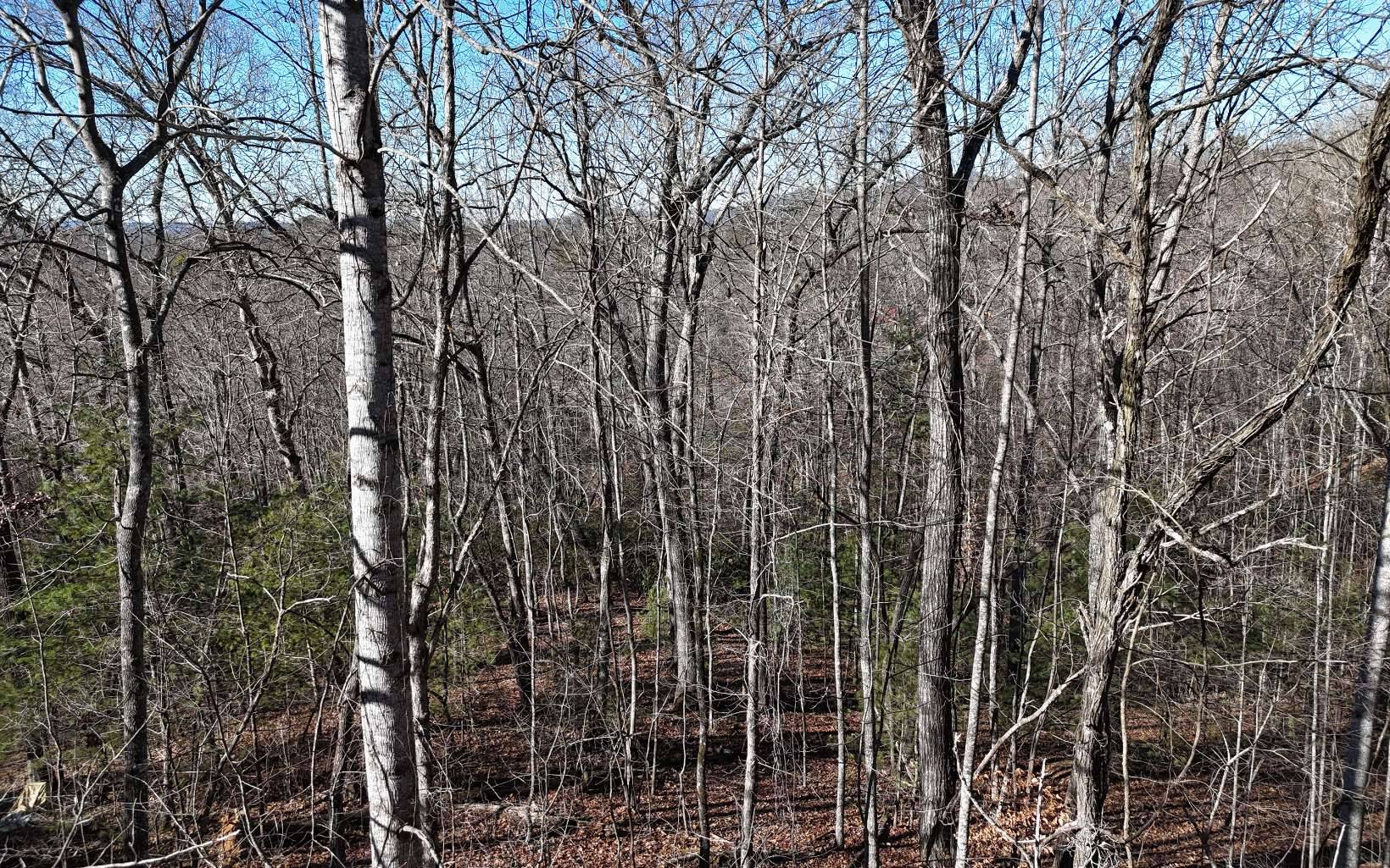 Blairsville, GA 30512,LOT37 Mountain Valley Lane