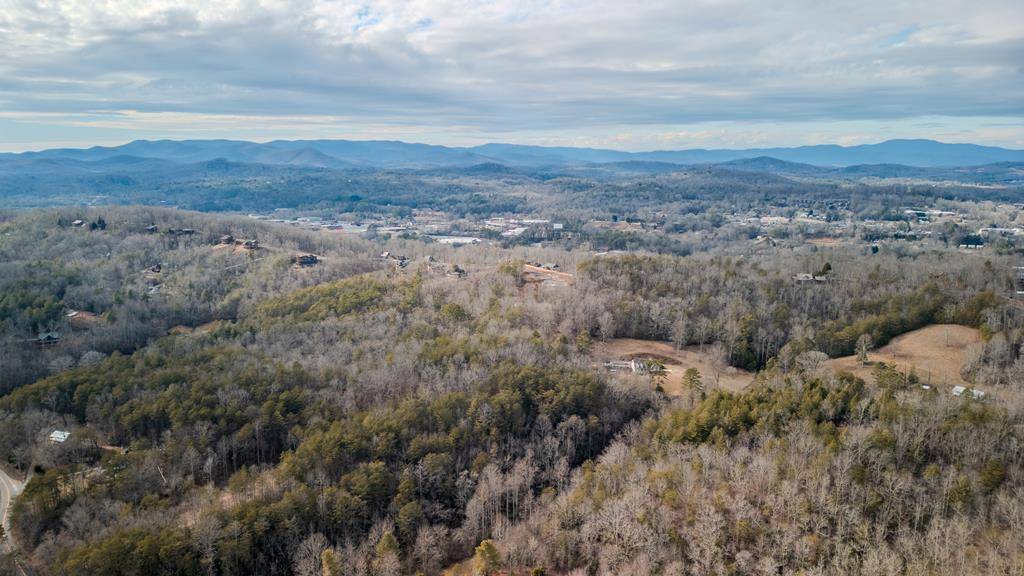 Blue Ridge, GA 30513,Lot 14 Weaver Creek Road