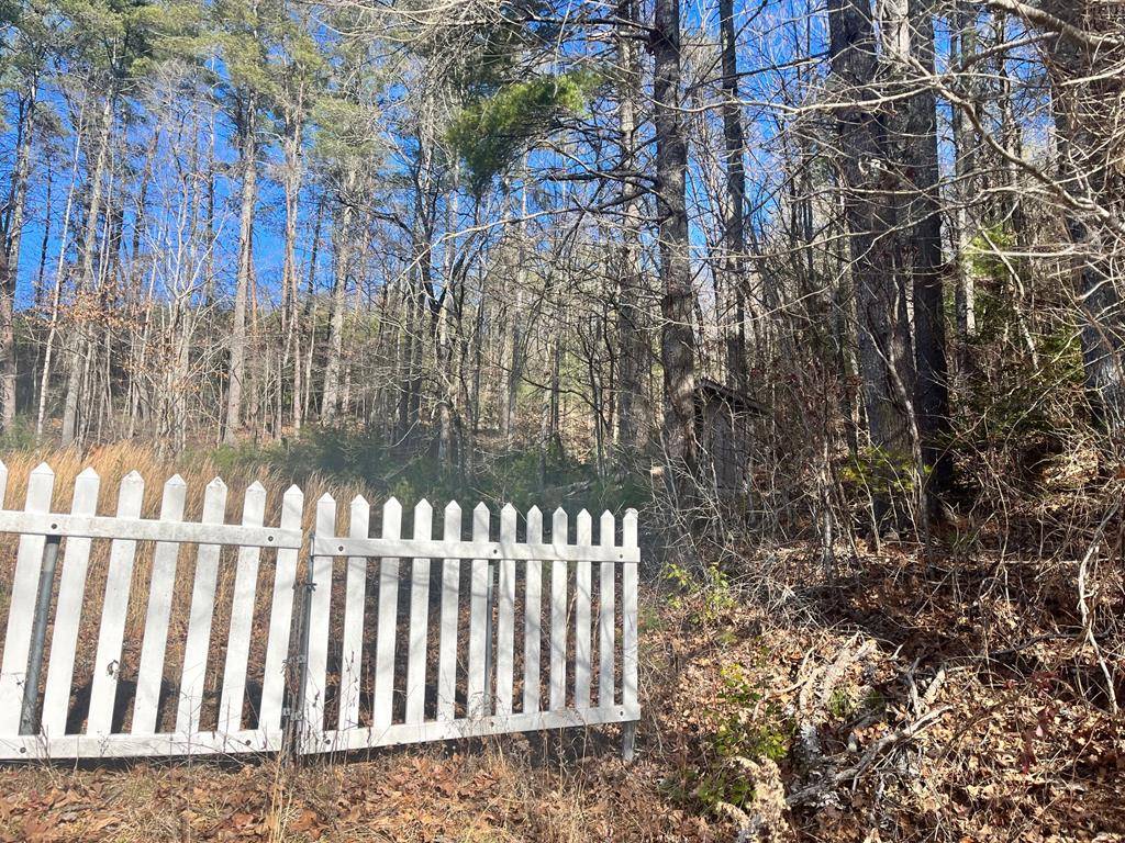 Hayesville, NC 28904,Lot 1&2 Mission Dam Road