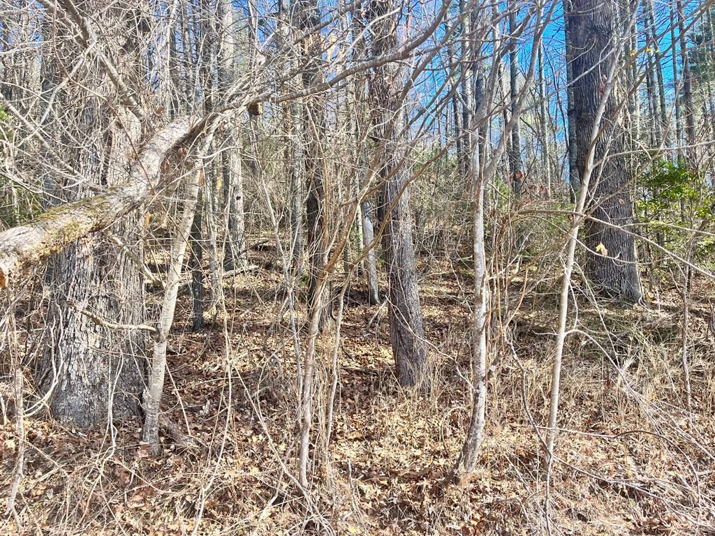 Hayesville, NC 28904,Lot 1&2 Mission Dam Road