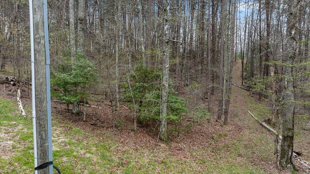 Morganton, GA 30560,Lot 1 Mustang Trail