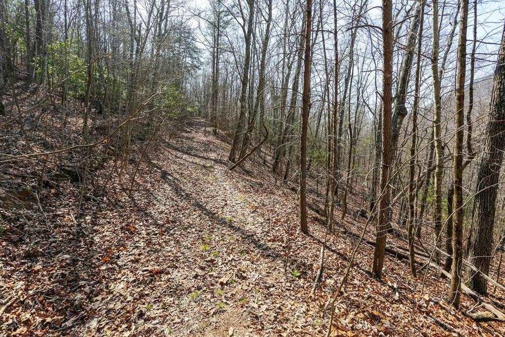 Hayesville, NC 28904,100 ac Mica Mine Road