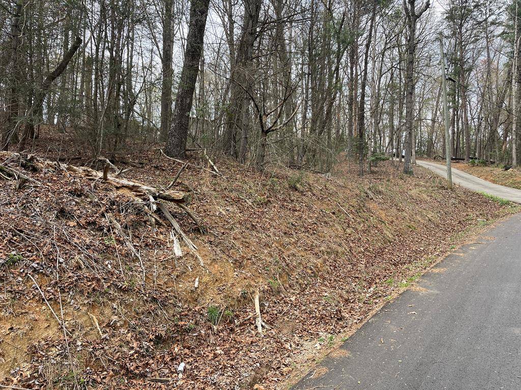 Ellijay, GA 30540,Lot  415 Chatawa Court