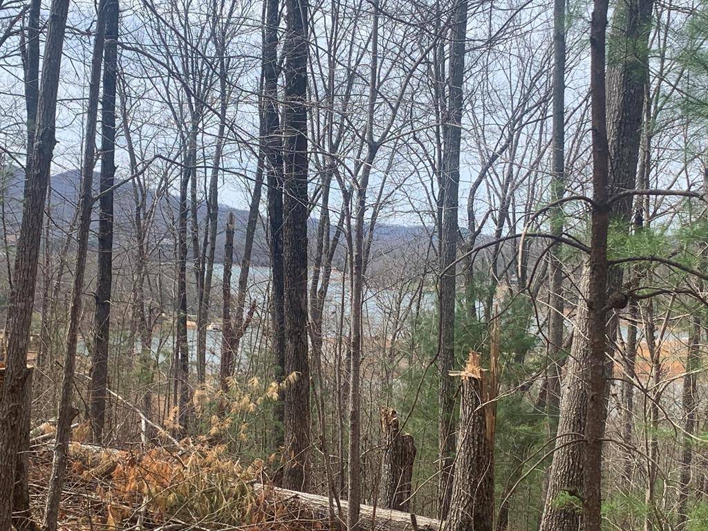 Hiawassee, GA 30546,Lot 12 Enchantment Way