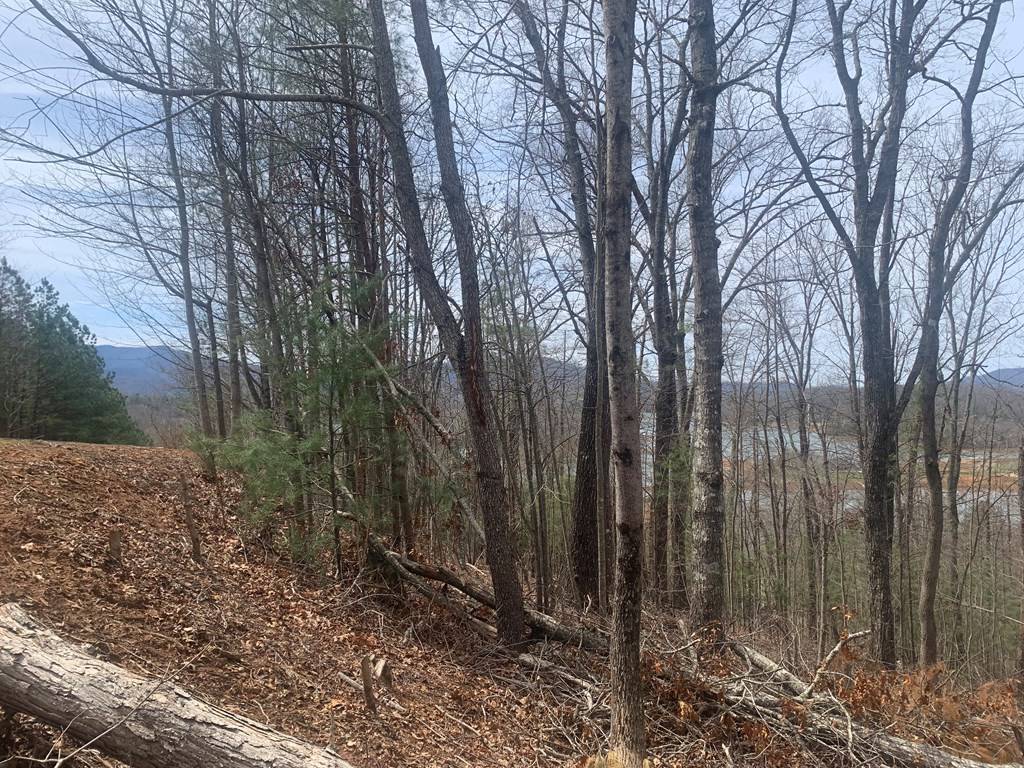 Hiawassee, GA 30546,Lot 12 Enchantment Way