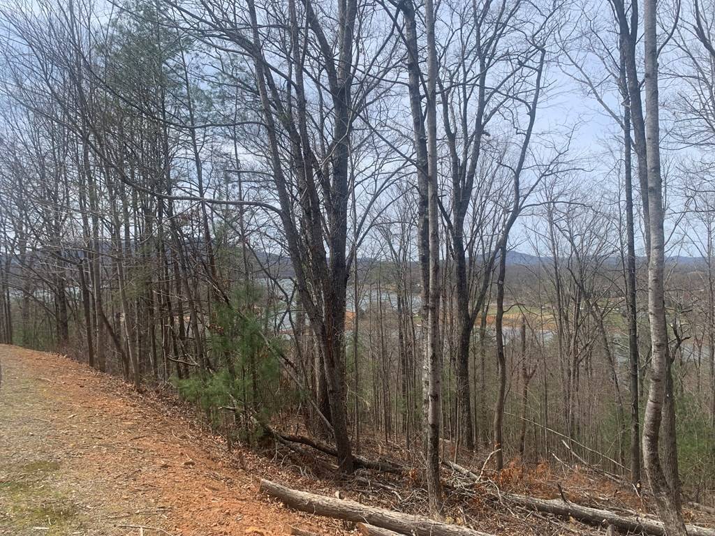 Hiawassee, GA 30546,Lot 12 Enchantment Way