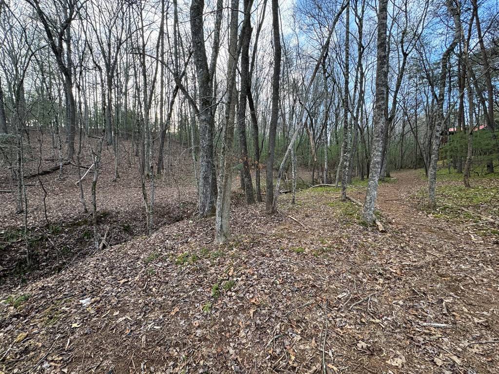 Blue Ridge, GA 30513,Lot 23 Blackgum Ridge