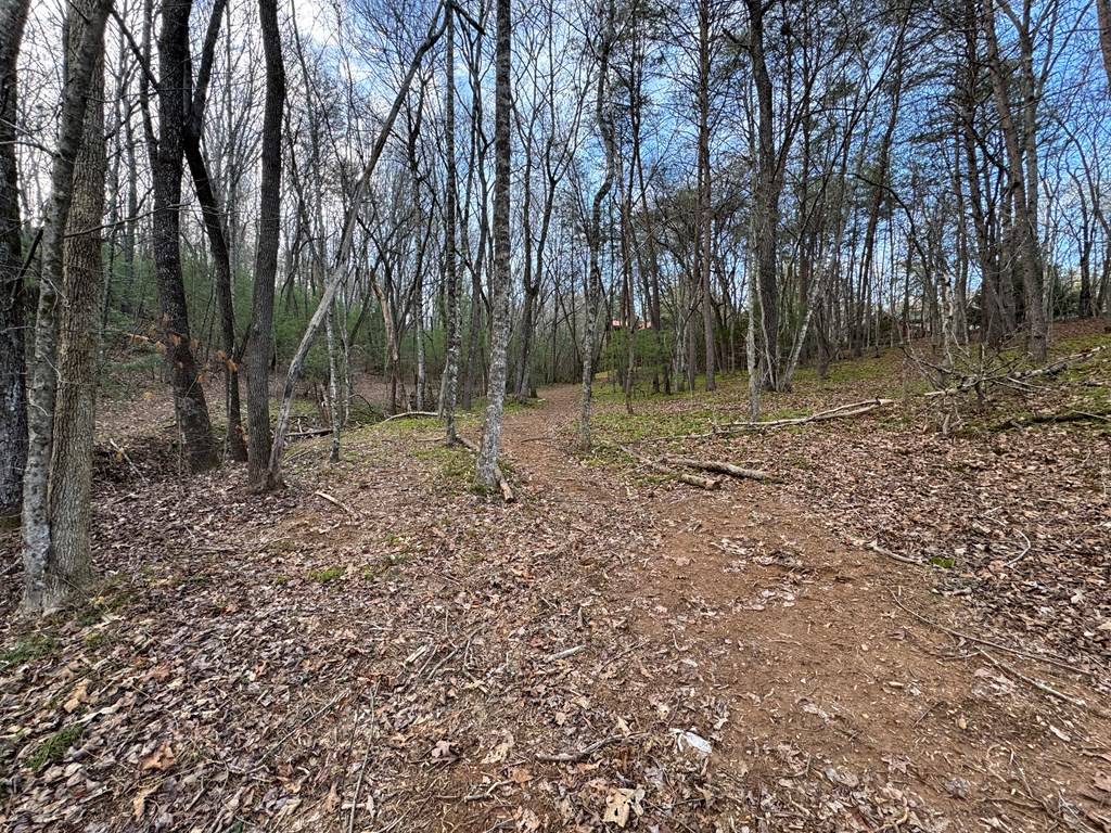 Blue Ridge, GA 30513,Lot 23 Blackgum Ridge