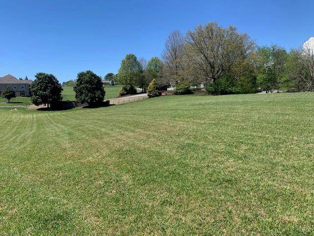 Blairsville, GA 30512,Lot 1 Owen Glen Drive