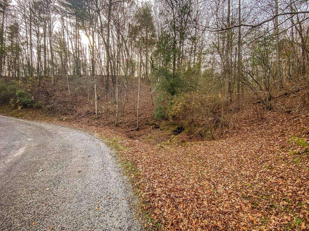 Ellijay, GA 30540,Lot 61 BMW Drive