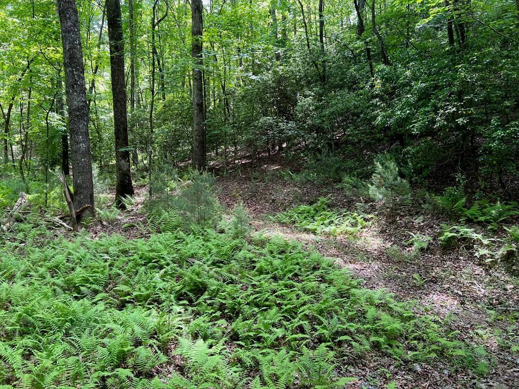 Ellijay, GA 30540,Lot 436 Okemah Court