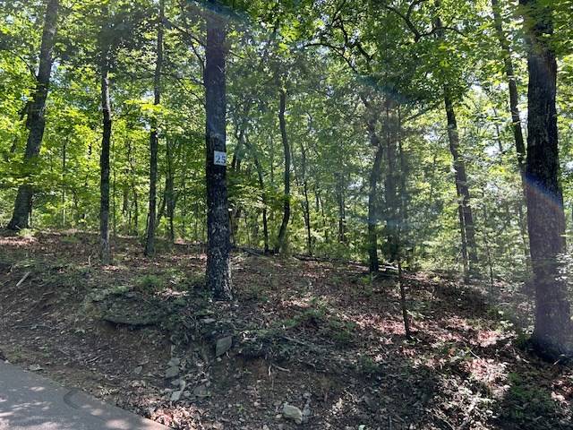 Hayesville, NC 28904,Lot 25 Mission Ridge Drive