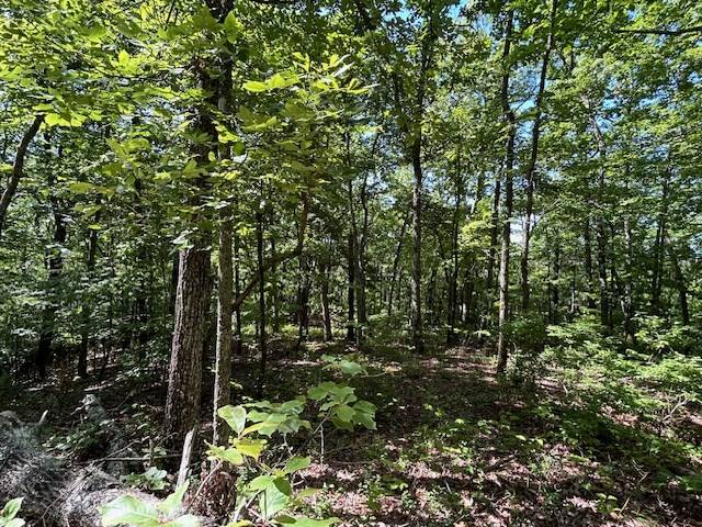 Hayesville, NC 28904,Lot 25 Mission Ridge Drive