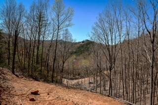 Blue Ridge, GA 30513,0 Clearview Mountain