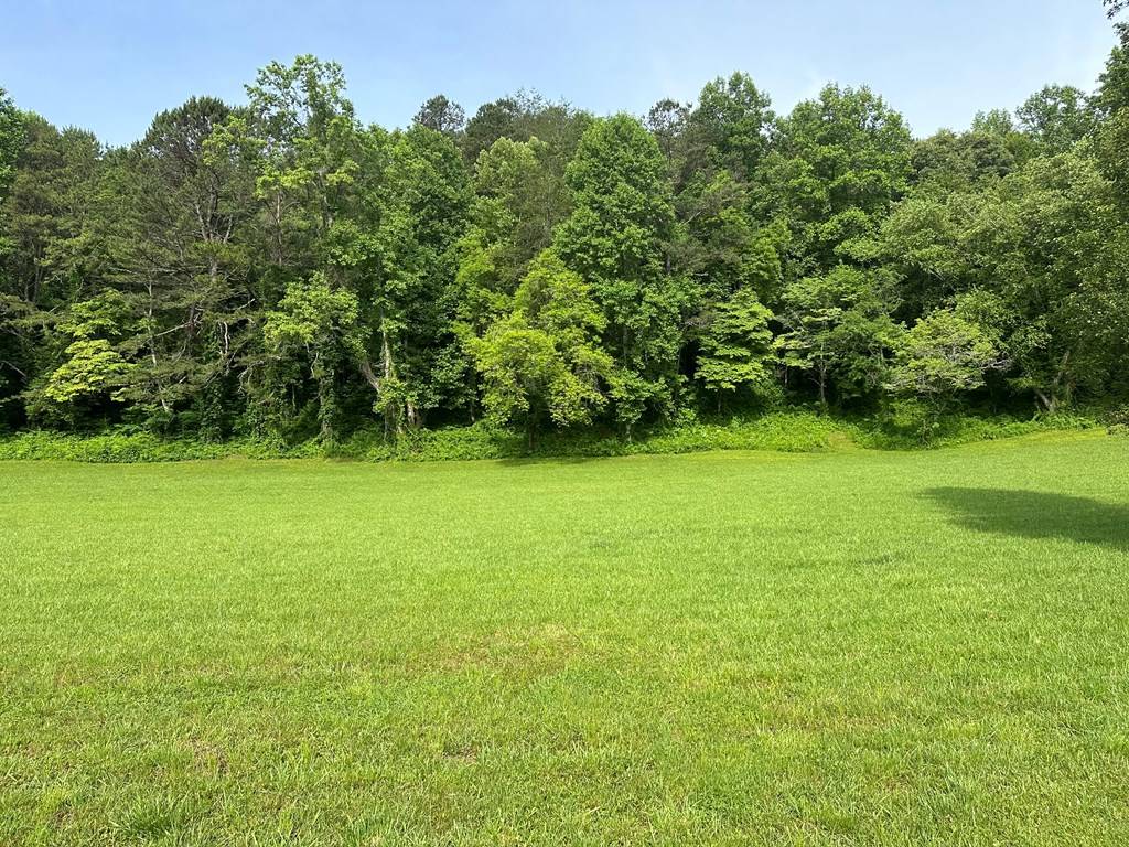 Warne, NC 28909,Lot 46 Prosperity Dr