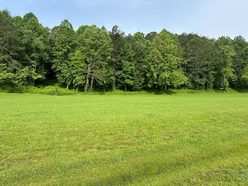 Warne, NC 28909,Lot 46 Prosperity Dr