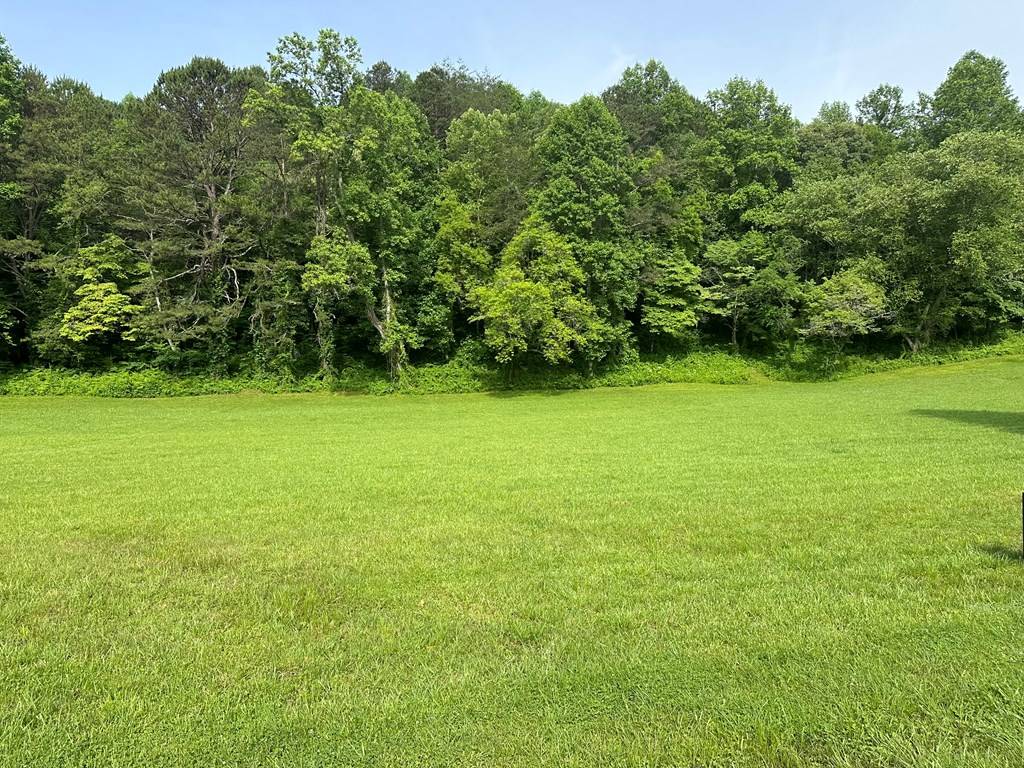 Warne, NC 28909,Lot 46 Prosperity Dr