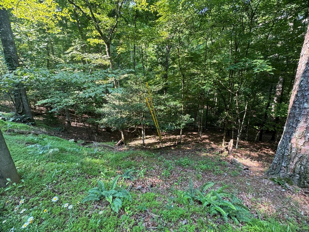 Ellijay, GA 30540,Lot 1188 Gibe Court