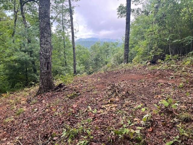 Hayesville, NC 28904,Lot 37 Sky View Drive