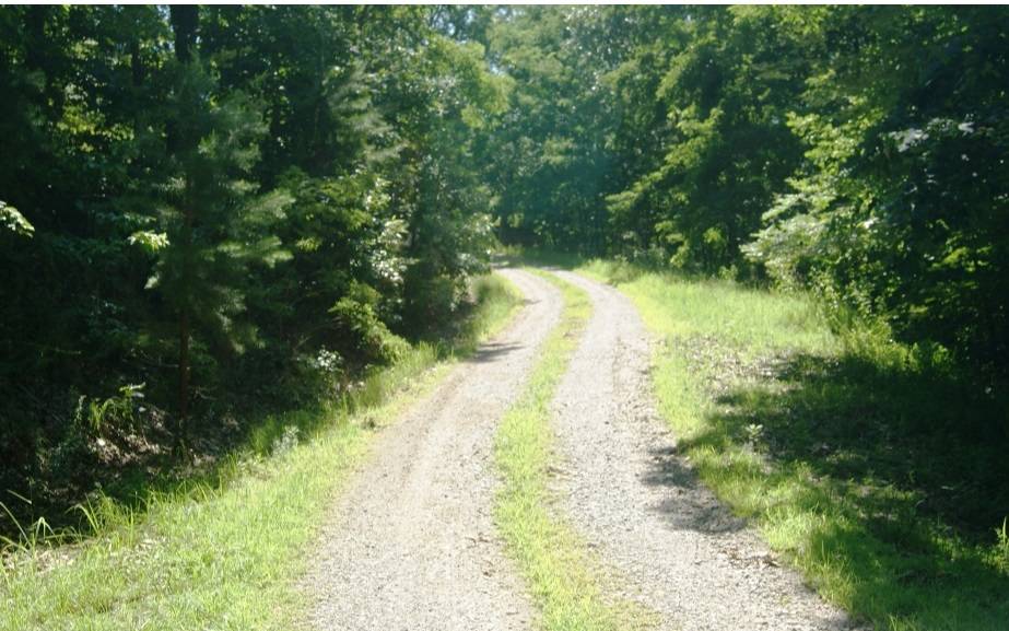 Morganton, GA 30560,LOT10 Wunder Bear Ridge Road