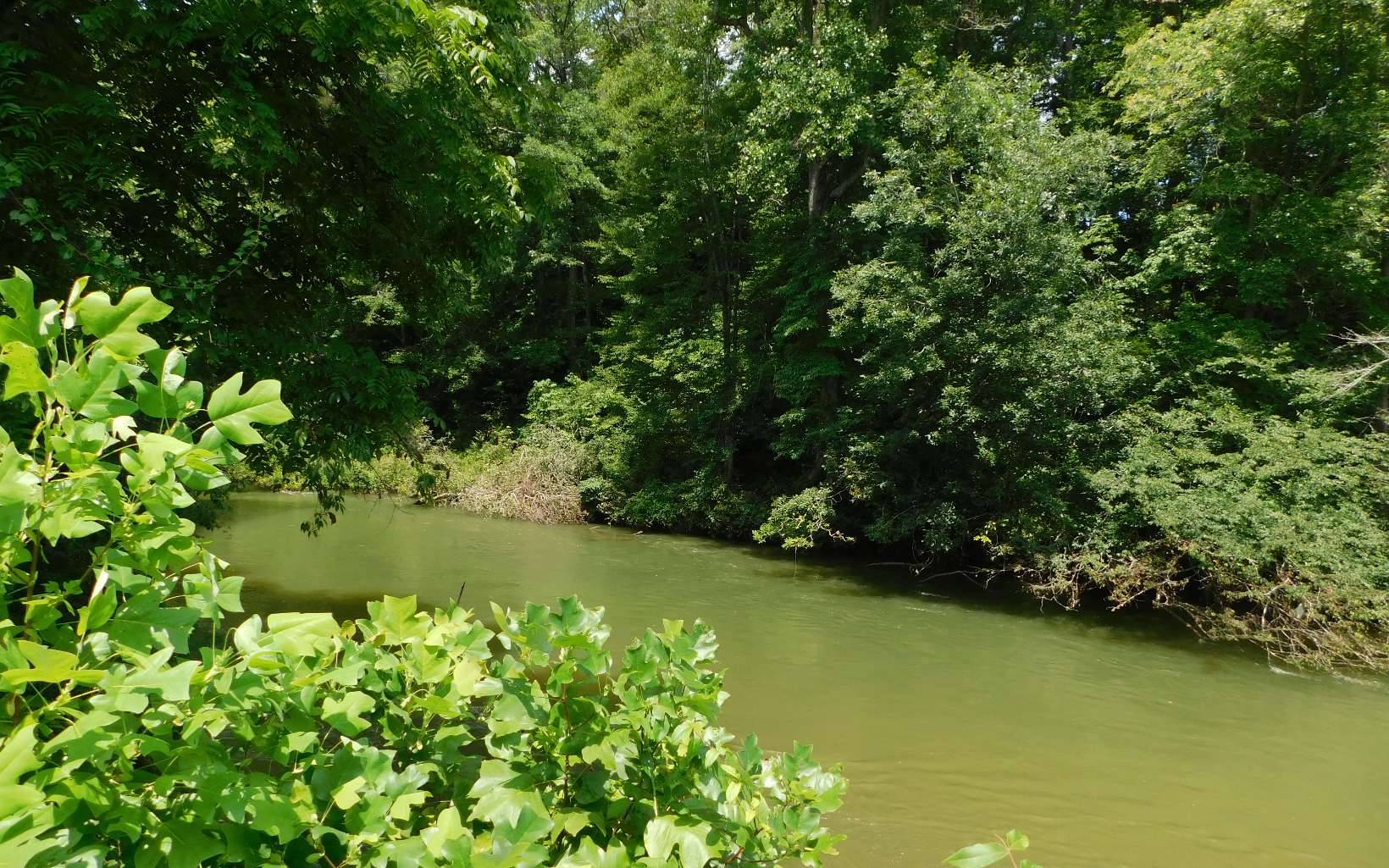 Hayesville, NC 28904,LOT 3 Rivers Edge