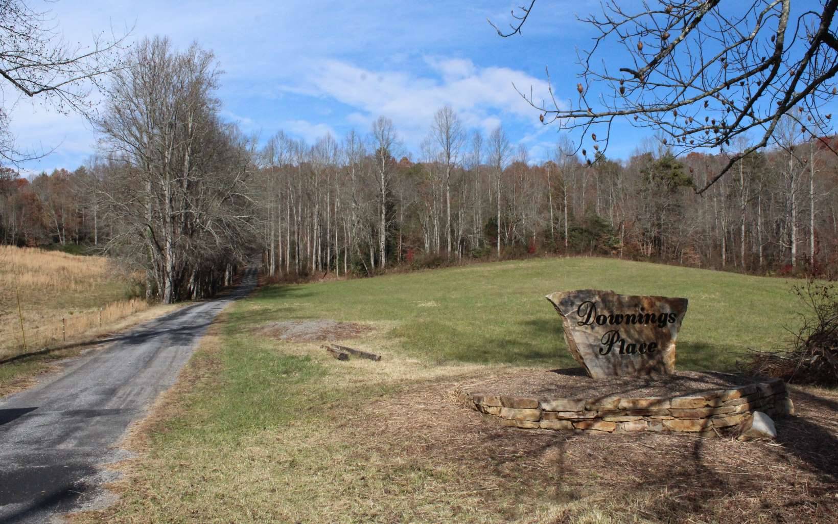 Hayesville, NC 28904,Downings Place