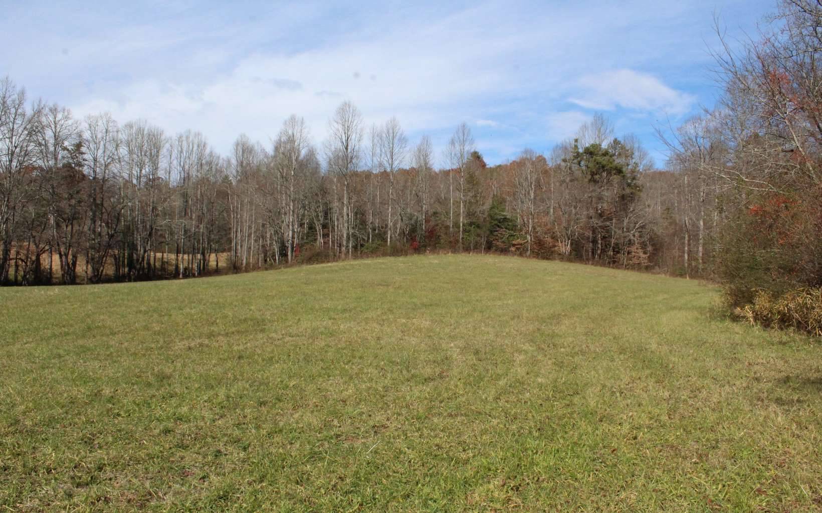 Hayesville, NC 28904,Downings Place