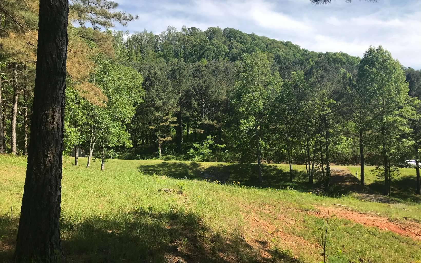 Ellijay, GA 30536,LT 31 Eastside Drive