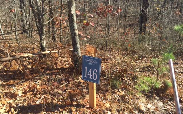 Ellijay, GA 30540,Lot 146 Tranquility