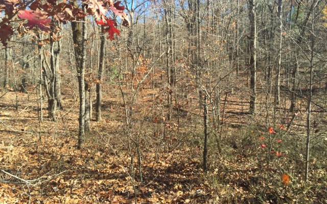 Ellijay, GA 30540,Lot 146 Tranquility