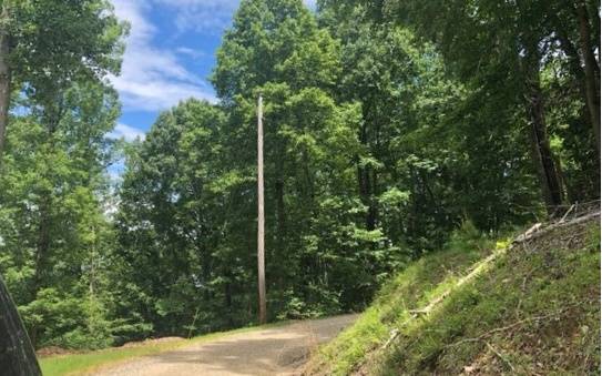 Morganton, GA 30560,LOT 3 Birchwood Trails