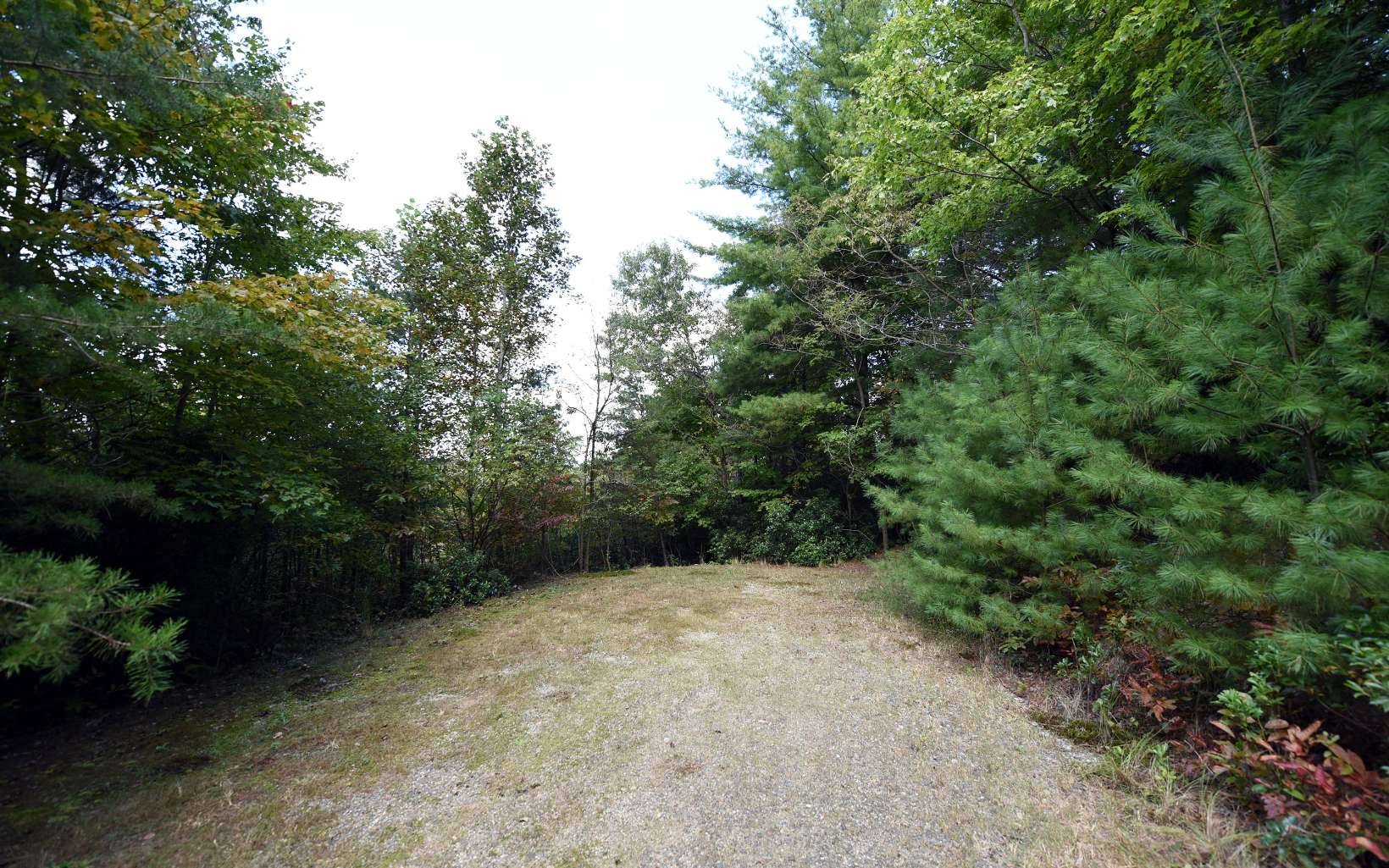 Blairsville, GA 30512,Up The Ridge Lot 8