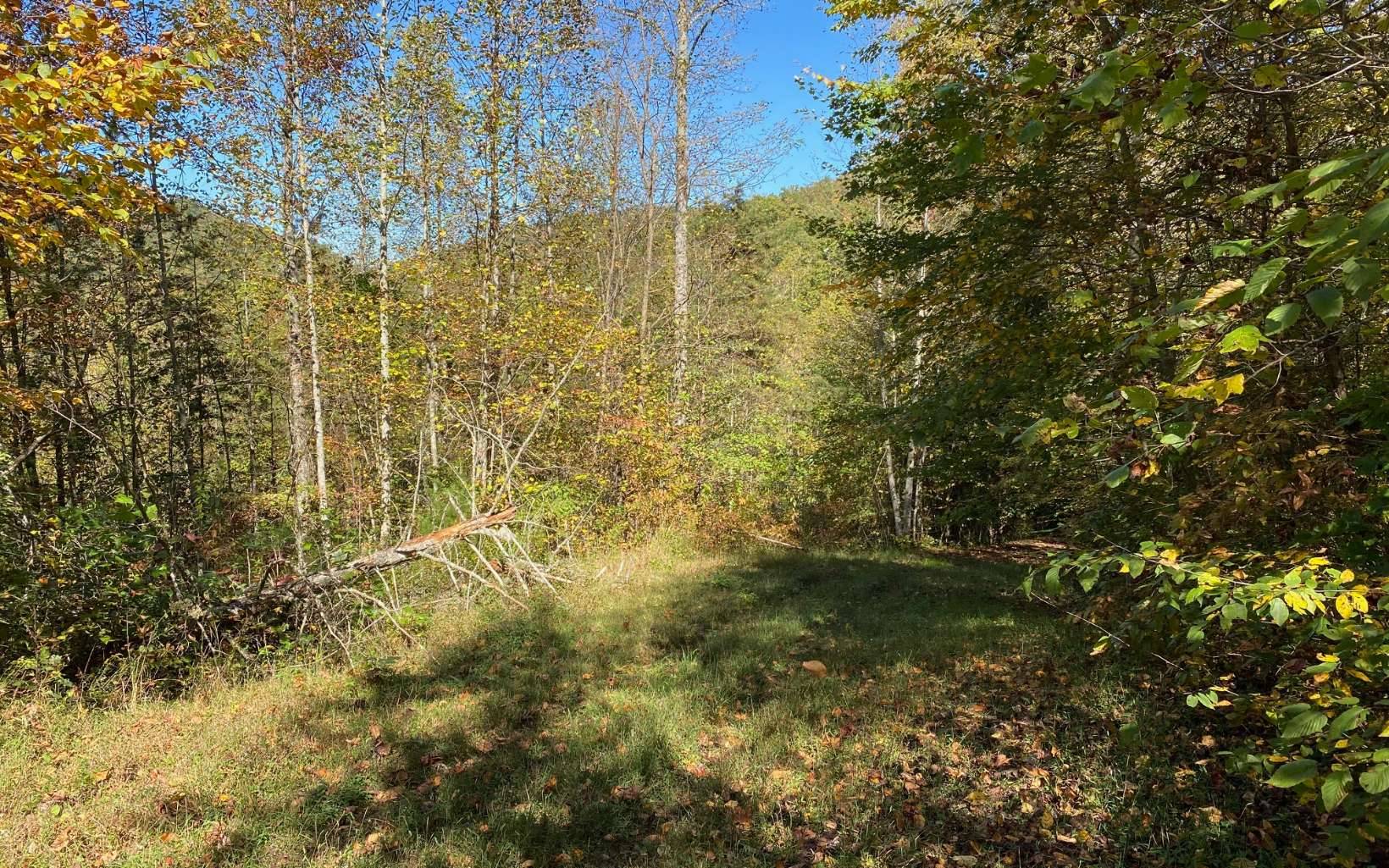 Hayesville, NC 28904,8 AC Cold Branch