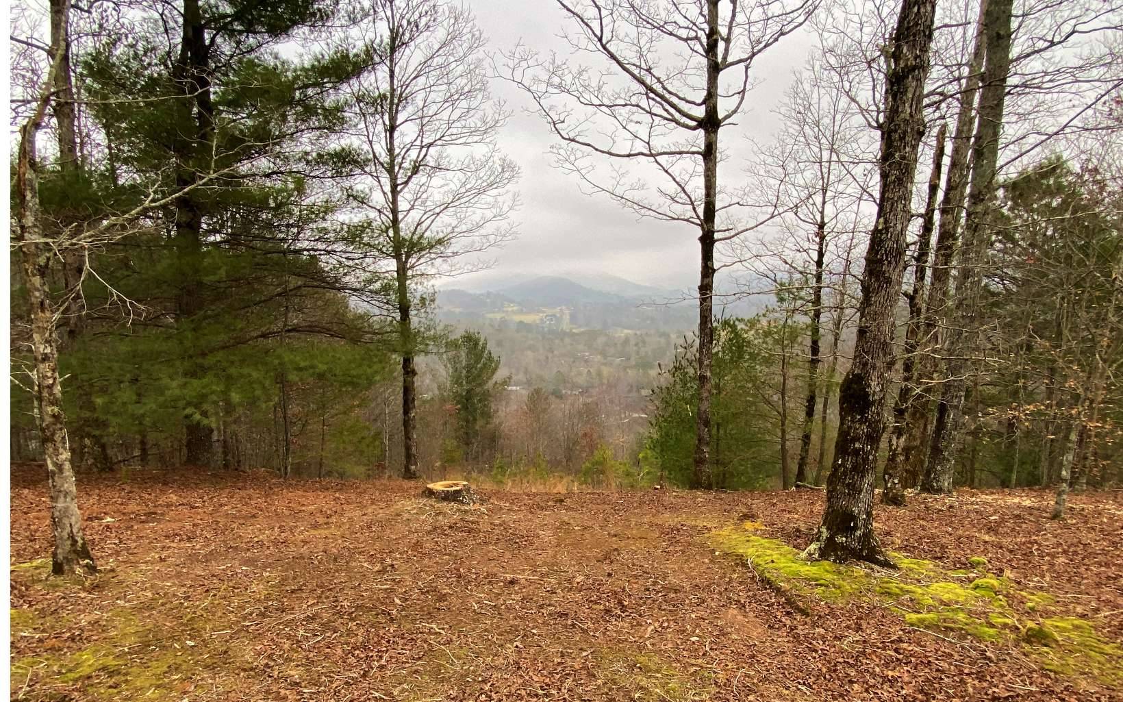 Hiawassee, GA 30546,Victoria Woods 42