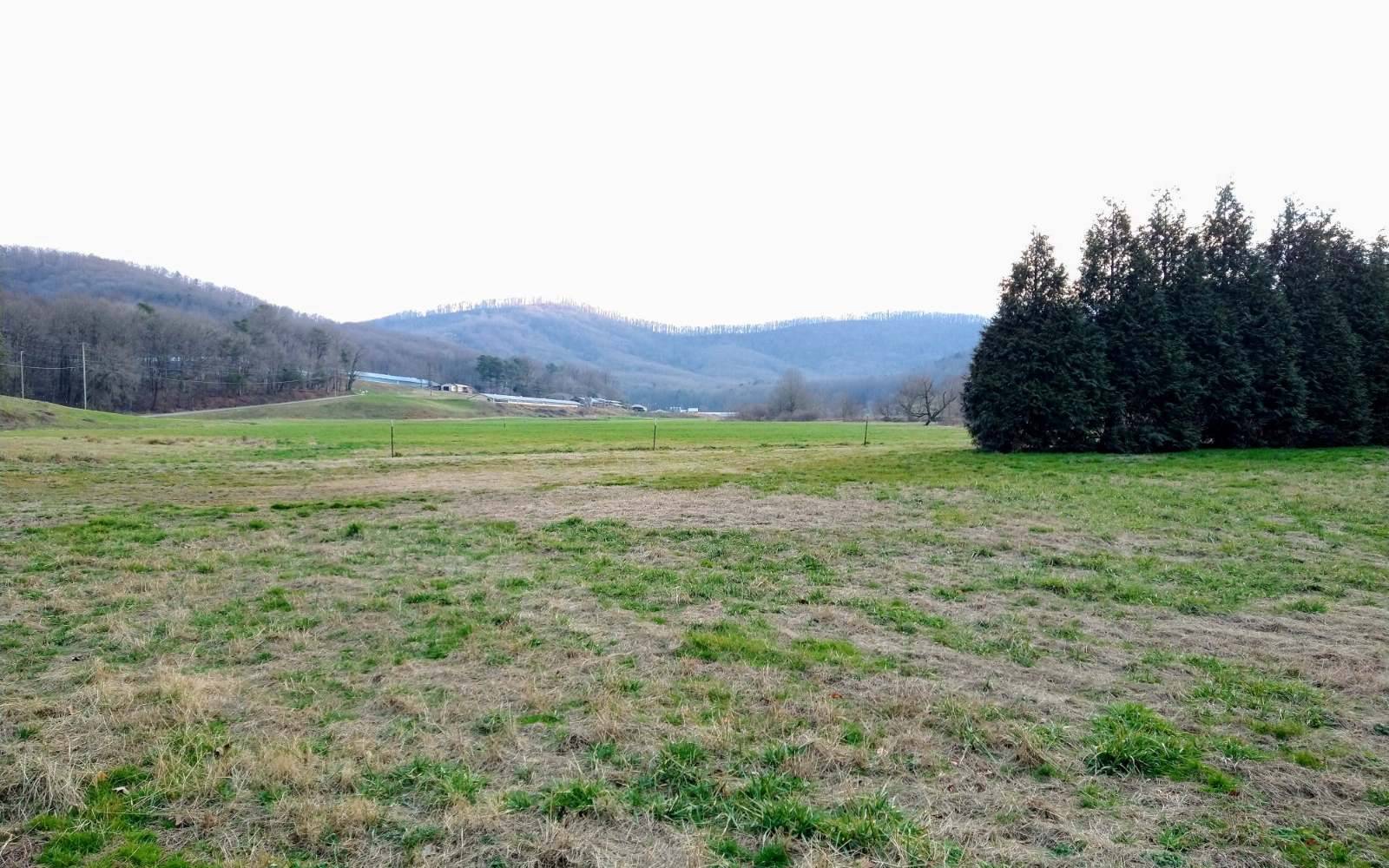 East Ellijay, GA 30540,LOT 1 Homer Wright Road