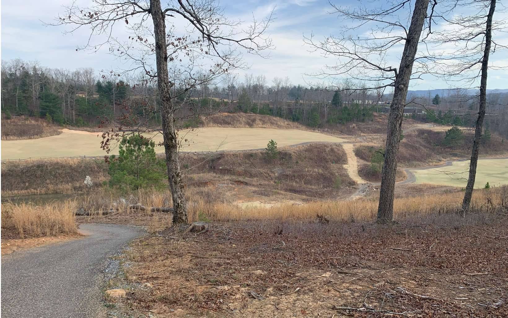 Mineral Bluff, GA 30513,Old Toccoa Farm Loop