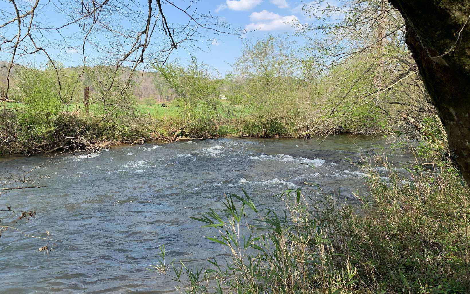 Cherry Log, GA 305222,LOT 5 River Escape