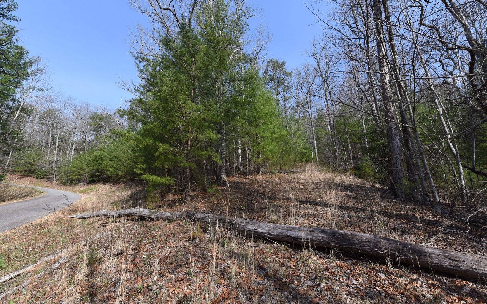 Blairsville, GA 30512,LOT 8 Choestoe Trail